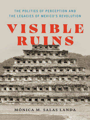 cover image of Visible Ruins